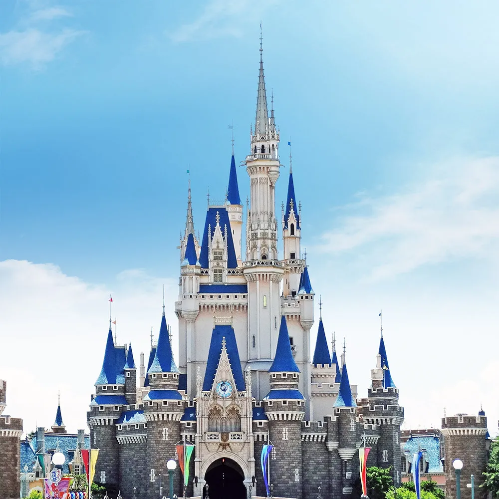 【喜鴻假期】★超值促銷高雄出發★東京５日機票★贈行李托運20公斤+手提7公斤(單人券含稅/純機票)