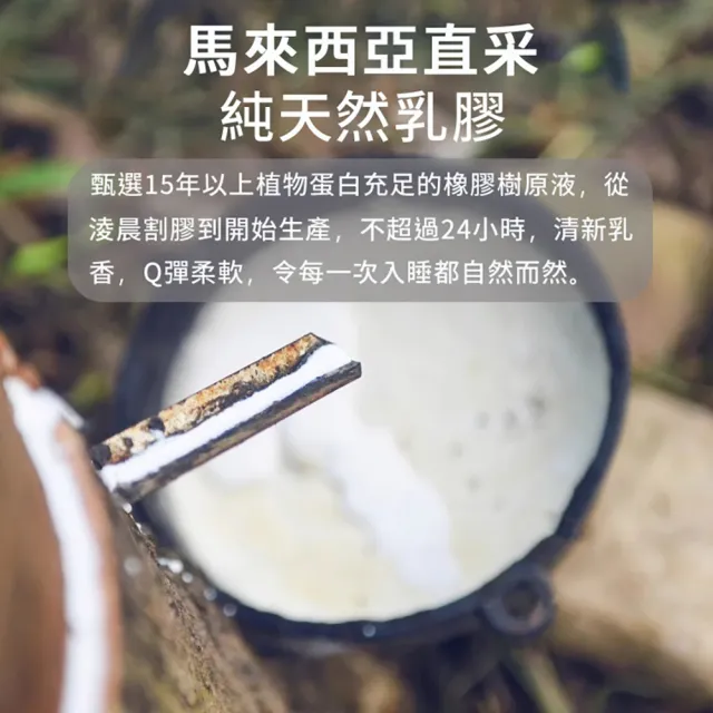 【HABABY環安家居】馬來西亞進口天然乳膠床墊 適用150床型 厚度7.5公分(嬰兒床墊、兒童床墊、天然乳膠)