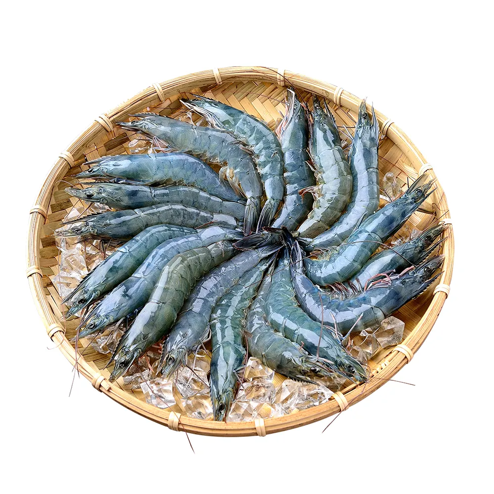 【鮮綠生活】嚴選特大生凍白蝦后 6盒(600g±10%/盒 約14±3尾/盒)