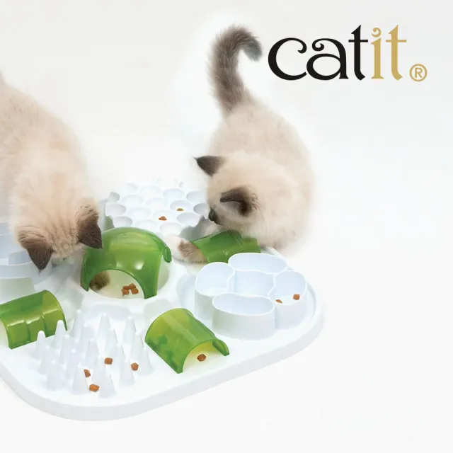 【CATIT】嘿卡堤  多感互動系列-益智慢食碗（寵物碗/餐碗/慢食碗/防噎碗）
