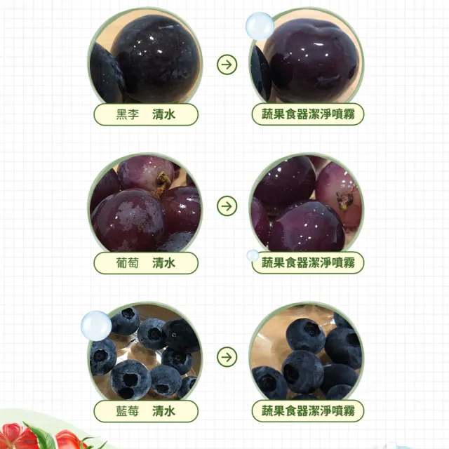 【Dr’s Formula 台塑生醫】蔬果食器潔淨噴霧補充包300g/官方直營