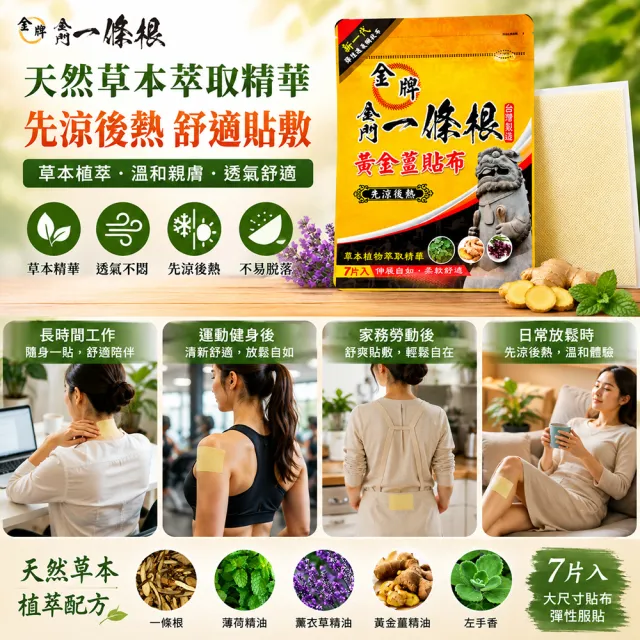 【金牌一條根】金牌金門一條根精油網狀黃金薑貼布47片含贈5片(正宗金門一條根 先涼後熱 一條根貼布)