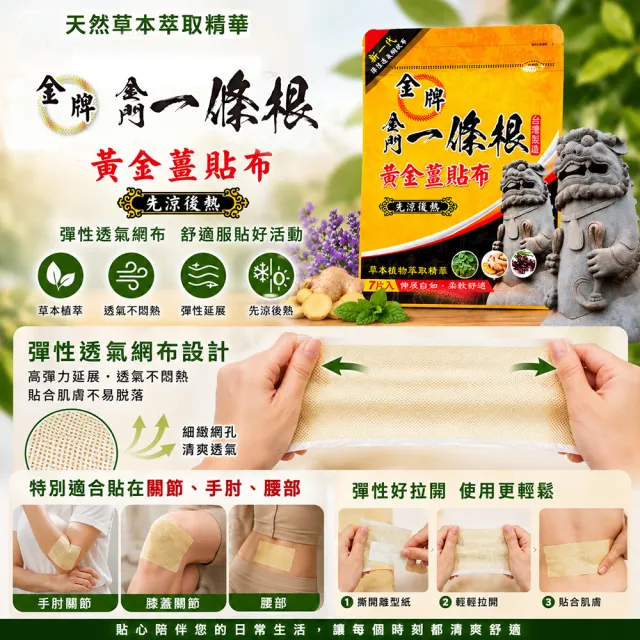【金牌一條根】金門一條根網狀黃金薑貼布3包共21片-先涼後熱(正宗金門一條根 先涼舒緩後熱制痛)