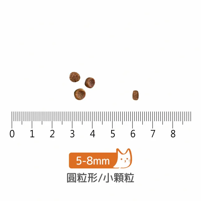 【Now!】幼貓/懷孕貓鮮肉配方3磅  貓咪無穀天然糧(貓糧 貓飼料 幼貓配方 幼貓專屬)