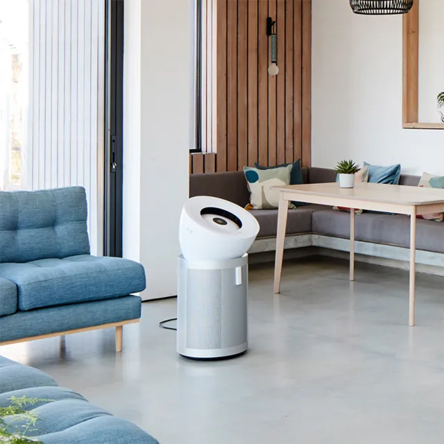 【dyson 戴森】BP02 Purifier Big+Quiet 強效極靜抗敏空氣清淨機(白色及柔霧銀 適用30坪)