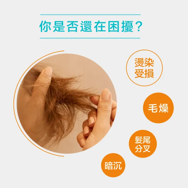 【摩洛哥優油】優油100ml送200ml(官方直營/護髮油/護髮/髮油/MOROCCANOIL)