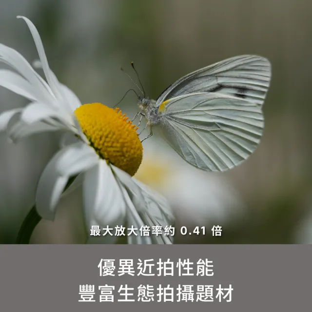 【SONY 索尼】SEL100400 輕巧超望遠變焦鏡頭 (公司貨 保固24個月)
