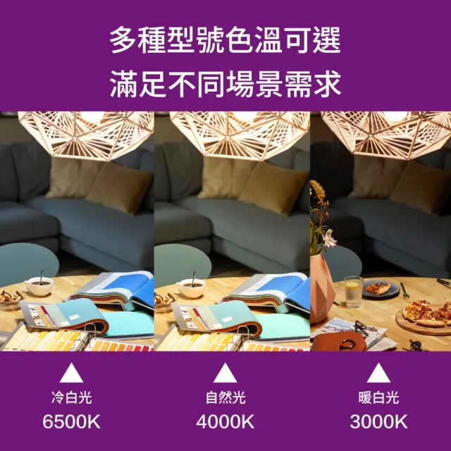 【Philips 飛利浦】13W LED真彩光燈泡 E27 3000K/4000K/6500K 5入組(超省電 節能標章認證 三色可選)