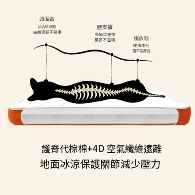 【IPSKY】可拆洗狗窩 透氣寵物床 狗狗沙發墊 加厚支撐貓狗睡墊 全拆式寵物床墊 四季通用 15公斤內