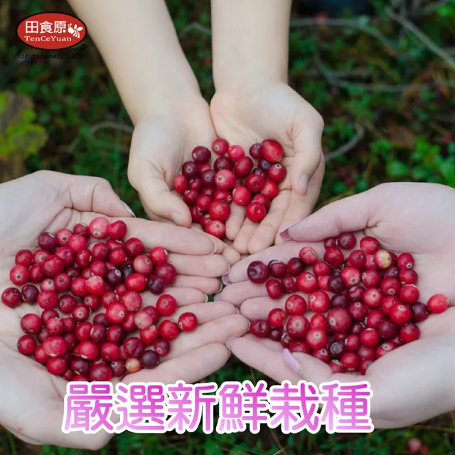 【田食原】冷凍莓果任選600gX4包(蔓越莓/櫻桃/黑莓 ) 解凍即食 安心無毒 低卡健康 輕食莓果