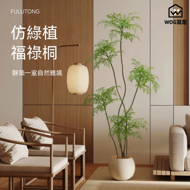 【窩居】仿真綠植 福祿桐盆栽 室內盆栽 客廳綠植 植物擺件 家居擺件 玄關裝飾 仿真盆栽（2M）