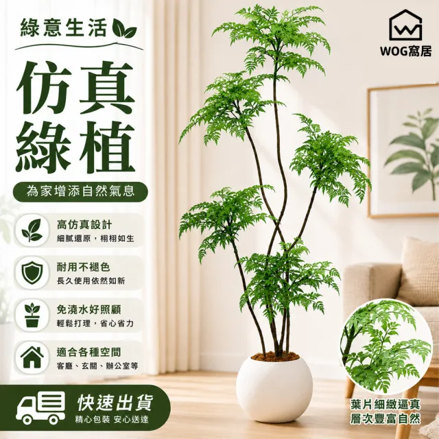 【窩居】仿真綠植 福祿桐盆栽 室內盆栽 客廳綠植 植物擺件 家居擺件 玄關裝飾 仿真盆栽(2M)