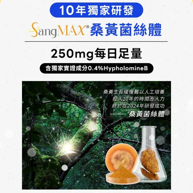 【葡萄王】超極薑黃MAX複方膠囊 60粒6入組 共360粒(薑黃 胡椒鹼 桑黃)