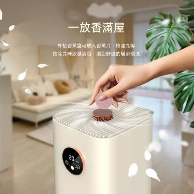 【OSLE 歐適樂】空氣淨化器 除異味新房除味除臭家用淨化器