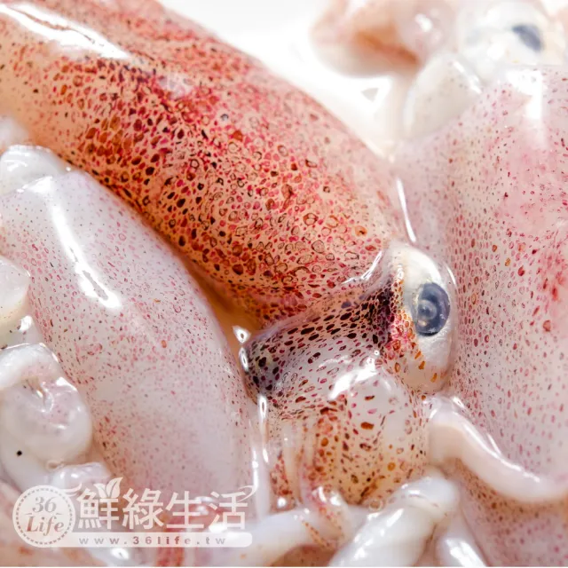 【鮮綠生活】船凍基隆當季野生現撈小咪卷  共8盒(300g/盒)
