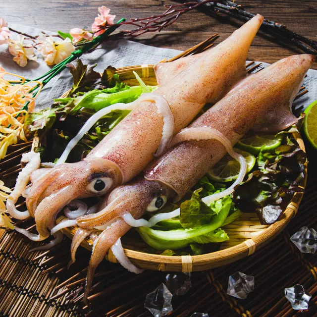 【鮮綠生活】野生船凍透抽 3包(500g±10%/包 2隻/包)