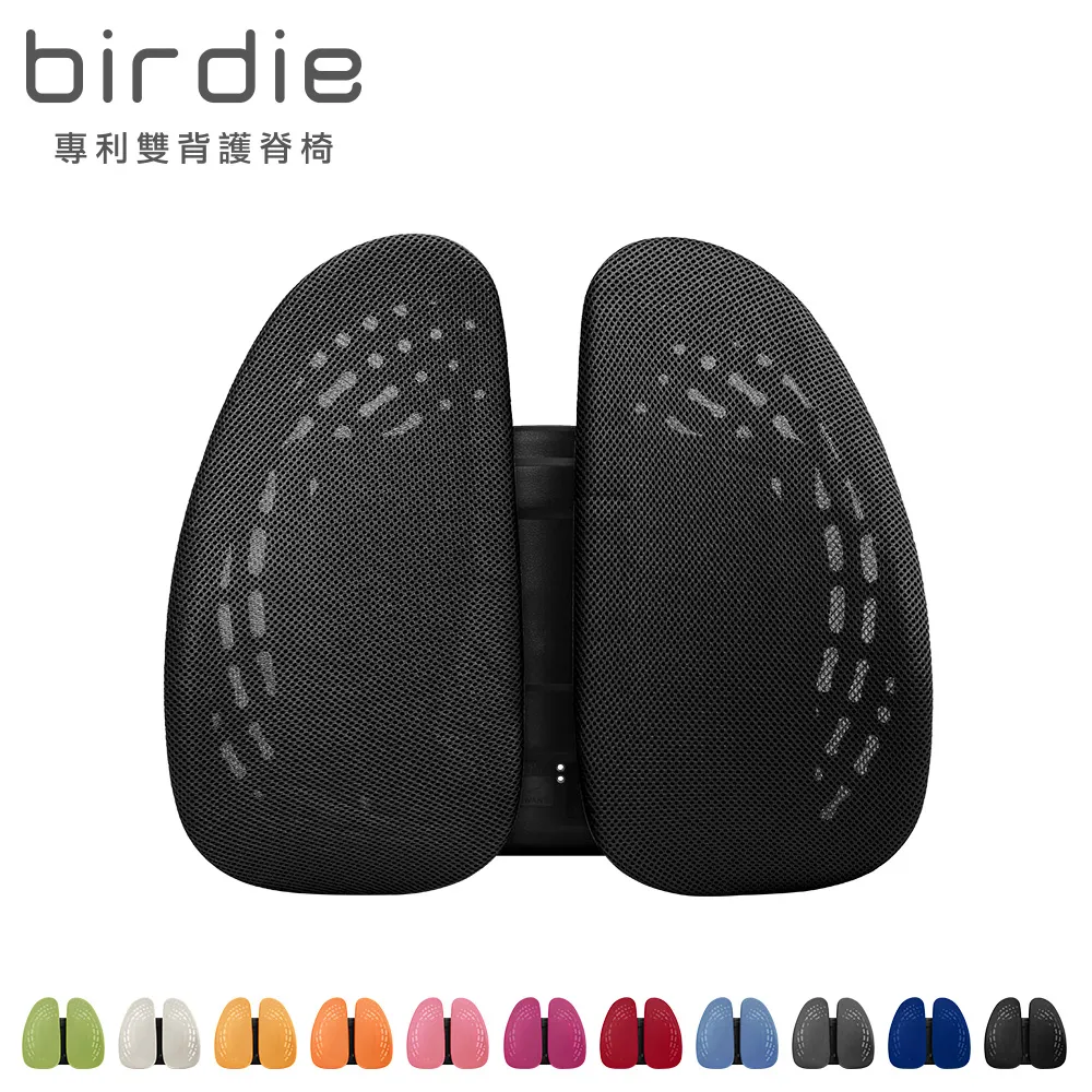 【Birdie】德國專利雙背護脊墊/辦公坐椅護腰墊/汽車靠墊(2入組)