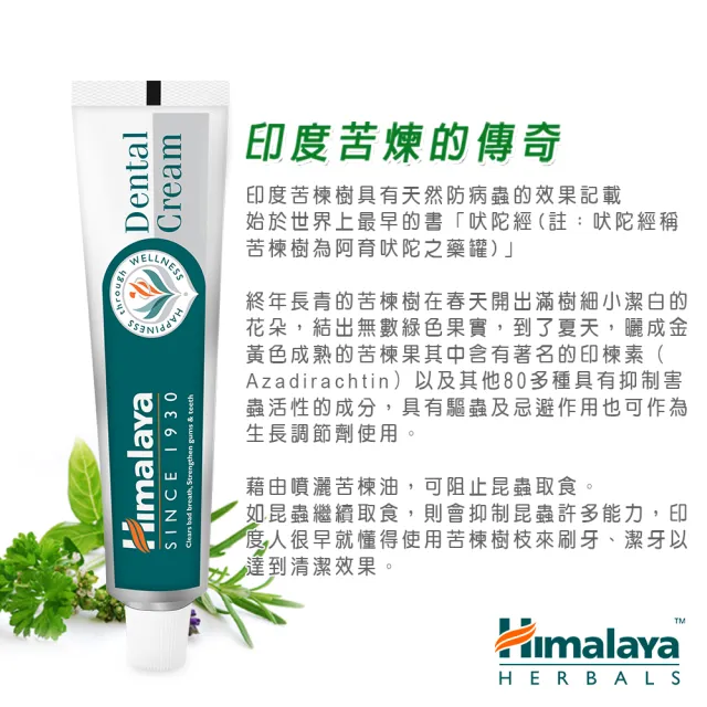 【Himalaya 喜馬拉雅】原廠草本牙膏100gX16入囤貨分享組(草本/護齦配方)