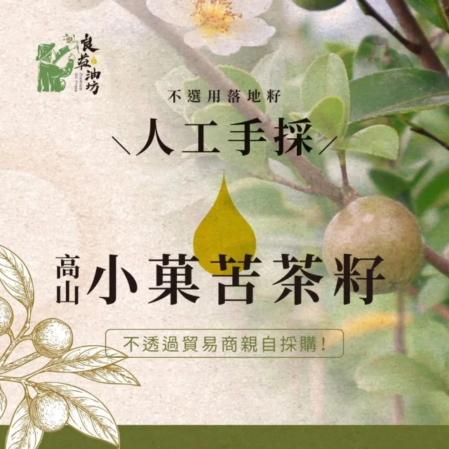 【良益油坊】100%小果苦茶油500 mL