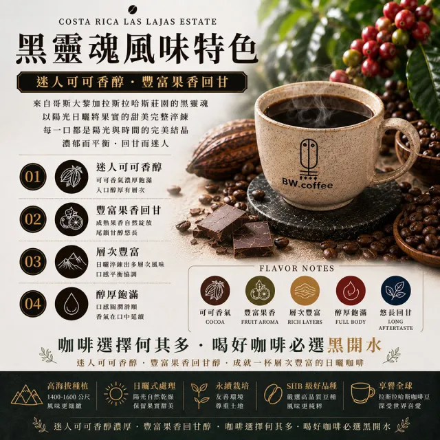 【黑開水】哥斯大黎加拉斯拉哈斯莊園黑靈魂1磅 450克/包(日曬式)