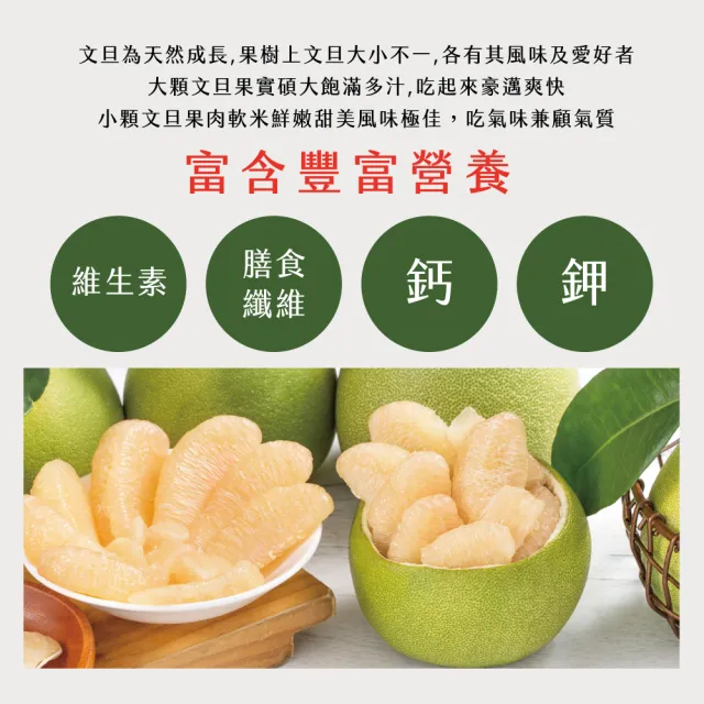 【初品果】海伯 花蓮鶴岡 外銷精品老欉文旦10斤10-14顆x2箱 (小果 中秋禮盒企業採購 送禮)