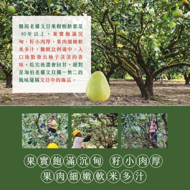 【初品果】花蓮鶴岡海伯精品老欉文旦禮盒10斤10-14顆x1箱(小果_中秋禮盒_好友揪團_企業送禮)