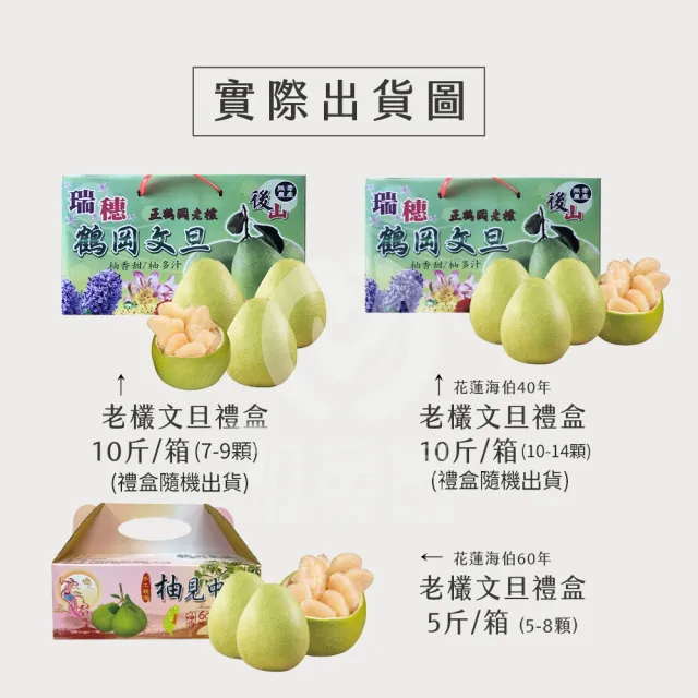 【初品果】花蓮鶴岡海伯精品老欉文旦禮盒10斤10-14顆x1箱(小果_中秋禮盒_好友揪團_企業送禮)