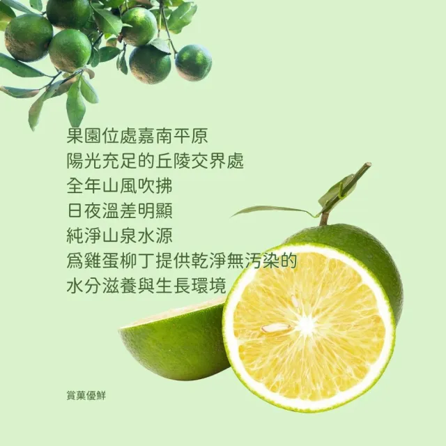 【賞菓優鮮】台南正老欉古早味雞蛋柳丁精美禮盒2盒(30-40粒/5斤X2盒)(金秋寒露限定_產地鮮採直送)