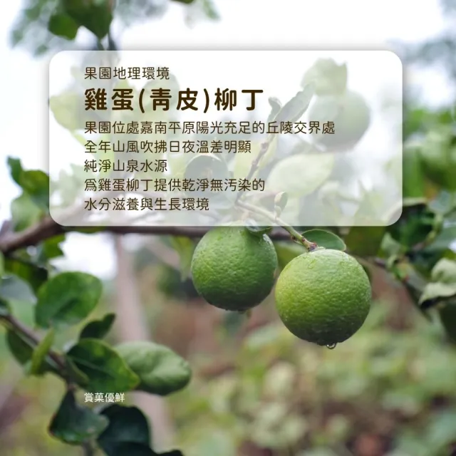 【賞菓優鮮】台南正老欉古早味雞蛋柳丁精美禮盒1箱(55-75粒/10斤)(金秋寒露限定_產地鮮採直送)