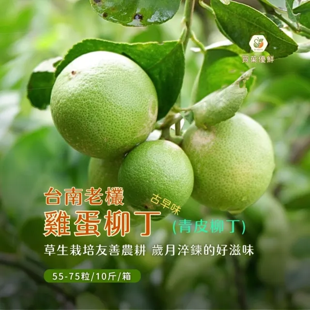 【賞菓優鮮】台南正老欉古早味雞蛋柳丁精美禮盒1箱(55-75粒/10斤)(金秋寒露限定_產地鮮採直送)