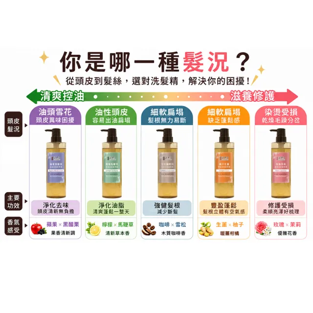 【古寶無患子】髮的能量飲 肌胺酸洗髮530g/柔順髮膜180g(強健髮根/豐盈髮絲/潤澤柔順/控油去屑/無矽靈)