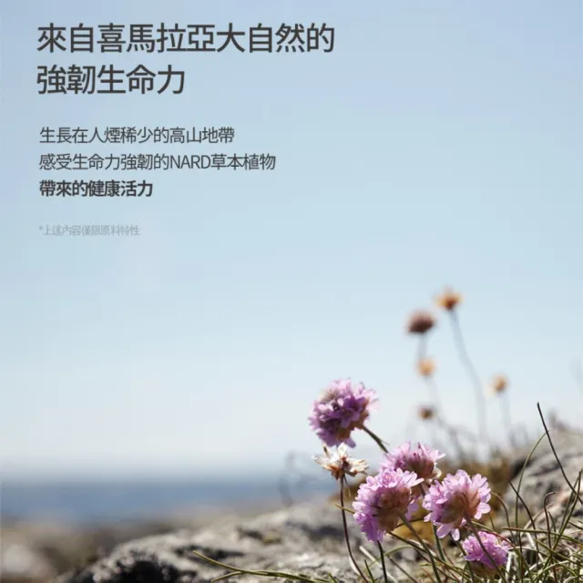 【NARD】草本修護沐浴露1000ml(任選/薰衣草麝香/茶樹迷迭香/檸檬薄荷/木質玫瑰香)