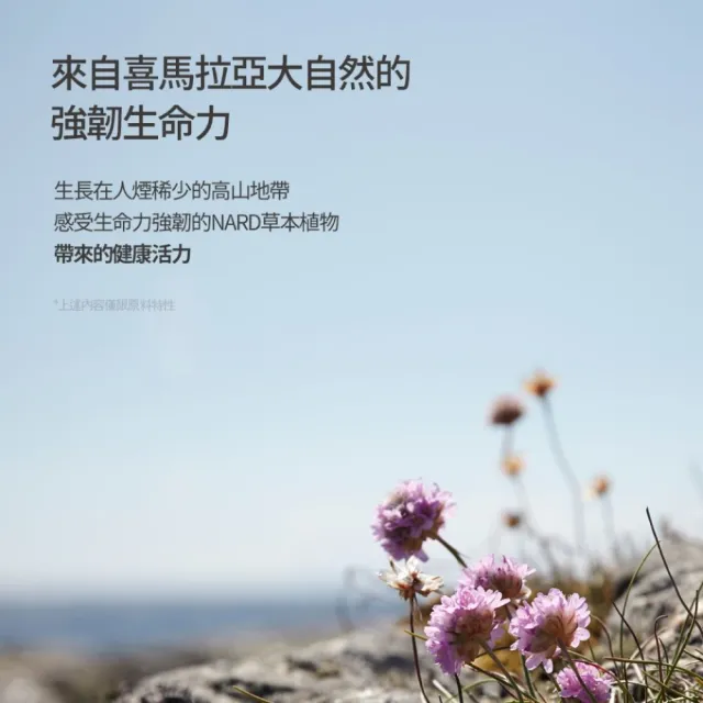【NARD】草本修護洗髮精-1000ml(任選/經典款/薰衣草麝香/茶樹迷迭香 /木質玫瑰香)