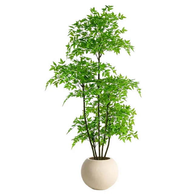 【窩居】仿真南天竹 仿真綠植 落地植物 客廳擺件 家居裝飾 裝飾綠植 仿真植物(1.8M4桿不帶盆）