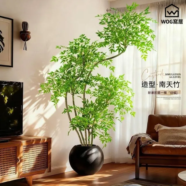 【窩居】仿真南天竹 仿真綠植 落地植物 客廳擺件 家居裝飾 裝飾綠植 仿真植物(2M5桿）