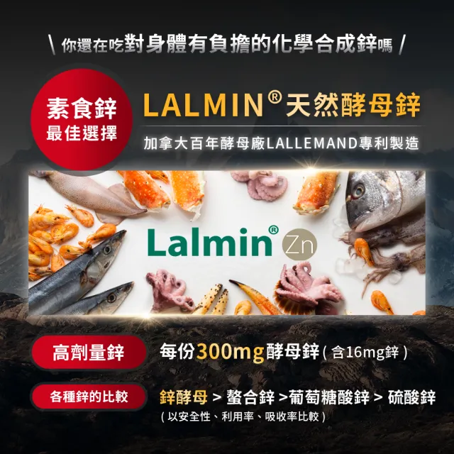 【JIU WU DAN 九五之丹】連五年世界品質金獎黑瑪卡+酵母鋅 6入組共180粒(4000mg祕魯黑馬卡 瑪卡 祕魯人蔘)