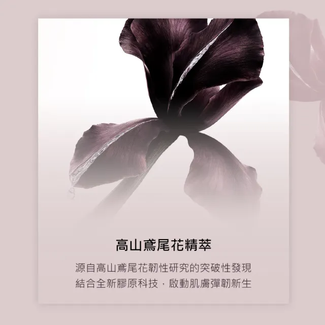 【YSL】官方直營 極效胜肽緊顏澎彈霜☆補充膠囊50ML (新品上市)