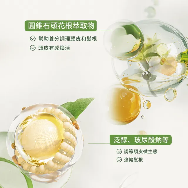 【Luxeol 樂絲歐】健髮王炸組 (頭皮6561養護洗髮露/洗髮精+頭皮舒活護髮乳)