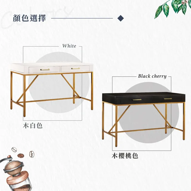 【Hampton 漢汀堡】菲妮斯化妝寫字桌(一般地區免運費/書桌/置物桌/茶几/咖啡桌/大茶几/桌子)