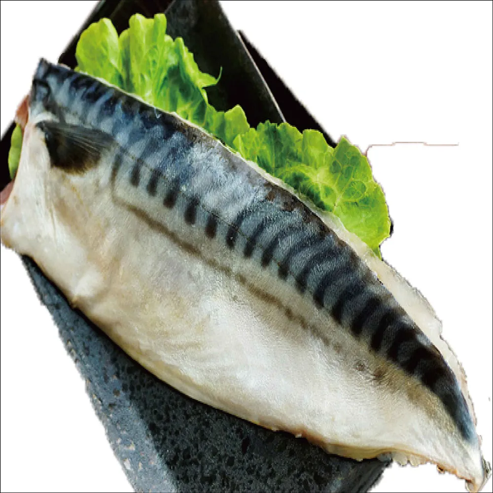 【海之醇】挪威薄鹽鯖魚19片(210g±10%/片)