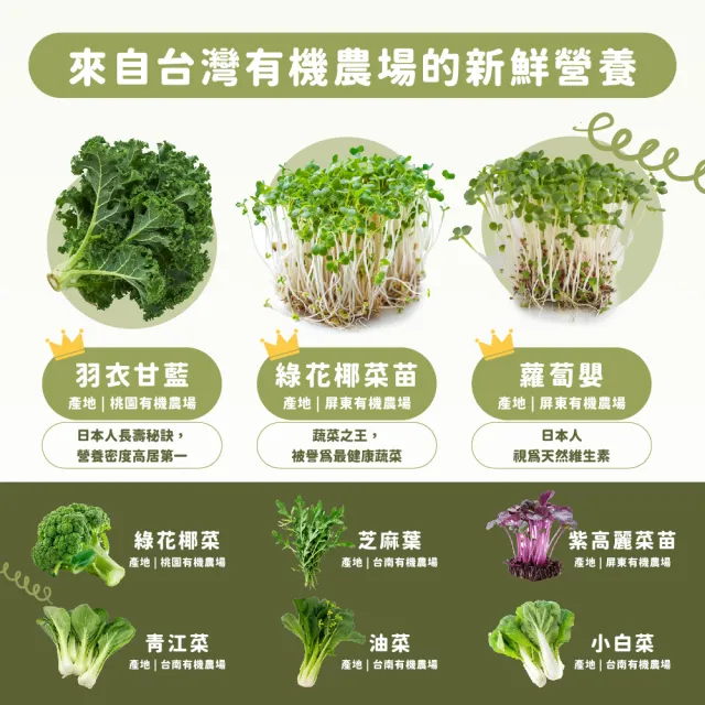 【Dr. Ginger 薑博士】超青汁30包/盒(花椰菜苗/羽衣甘藍/蘿蔔硫素)