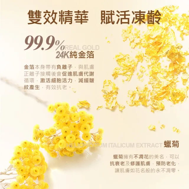 【JS 婕洛妮絲】黃金蠟菊精華化妝水120mlx2（潤白緊緻）