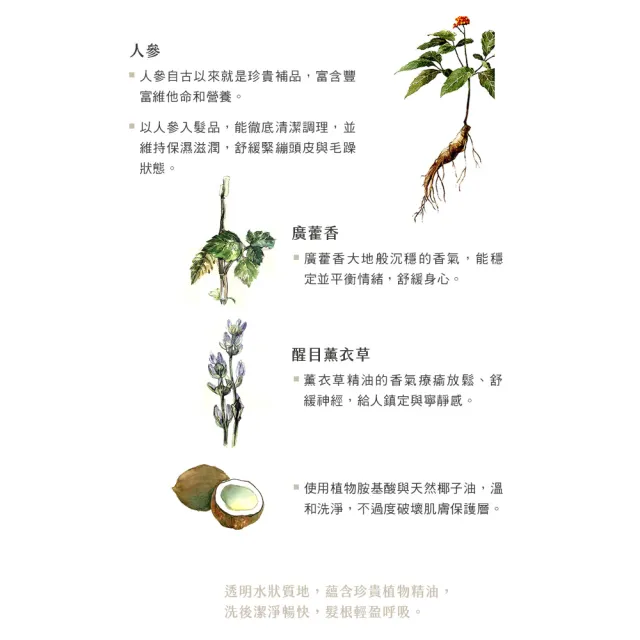 【阿原】人參洗頭水-500mL(清潔同時保養)