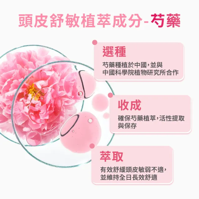 【KLORANE 蔻蘿蘭】官方直營 速效舒敏洗髮精400ml 3入組