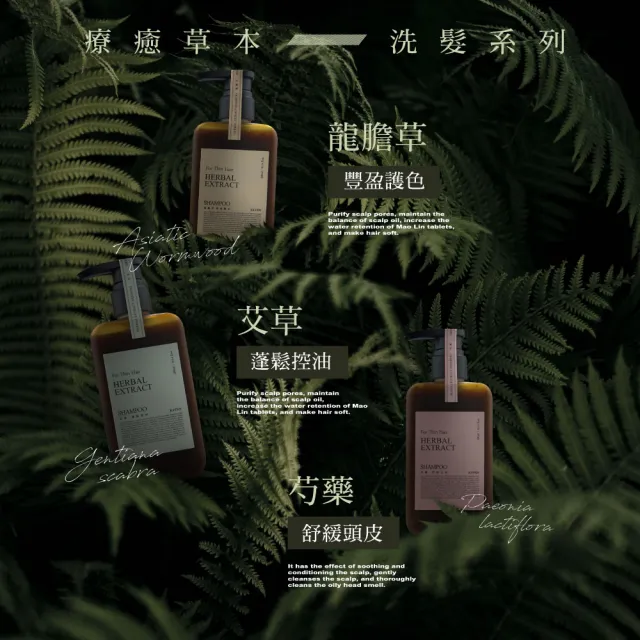 【KAFEN 卡氛】2入組加大版 療癒草本洗髮系列800ml(回購率NO.1 艾草控油/龍膽護色/芍藥去屑/控油蓬鬆)