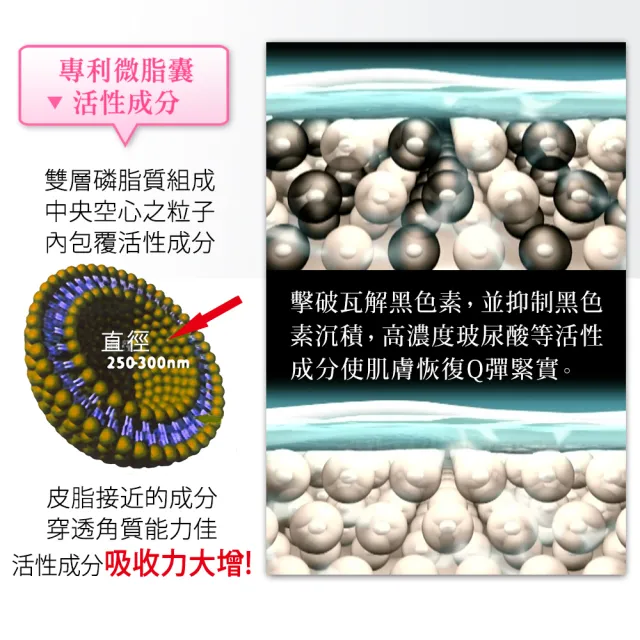 【杏輝】高濃縮玻尿酸美白液(3入組)