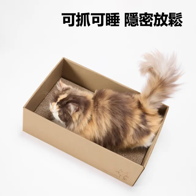 【maison choupette】貓野仙蹤 紙盒貓窩抓板可替換_森林系列_不易掉屑貓抓板