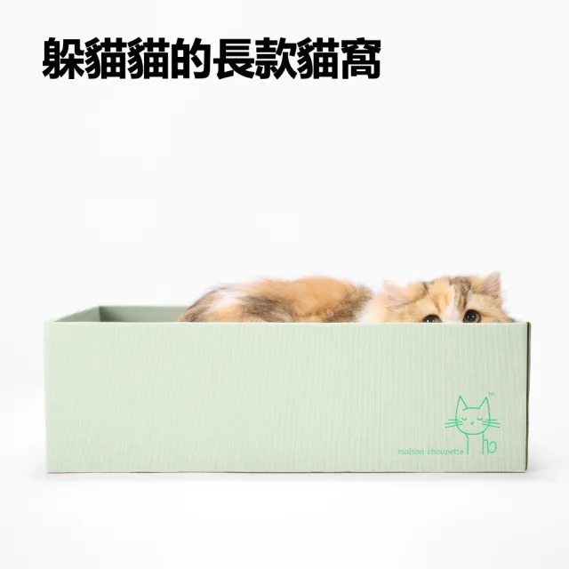 【maison choupette】貓野仙蹤 紙盒貓窩抓板可替換_森林系列_不易掉屑貓抓板
