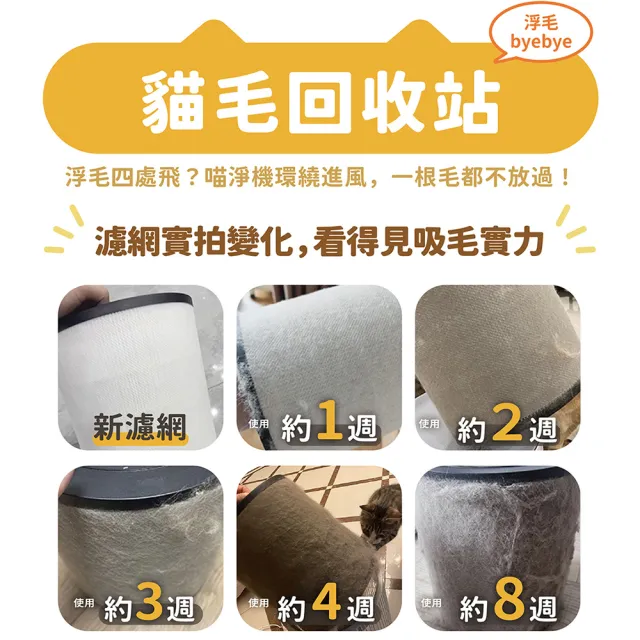【Honeywell】貓咪UVC殺菌抗敏空氣清淨機 HPA360WTW(適用8-17坪｜喵淨機)