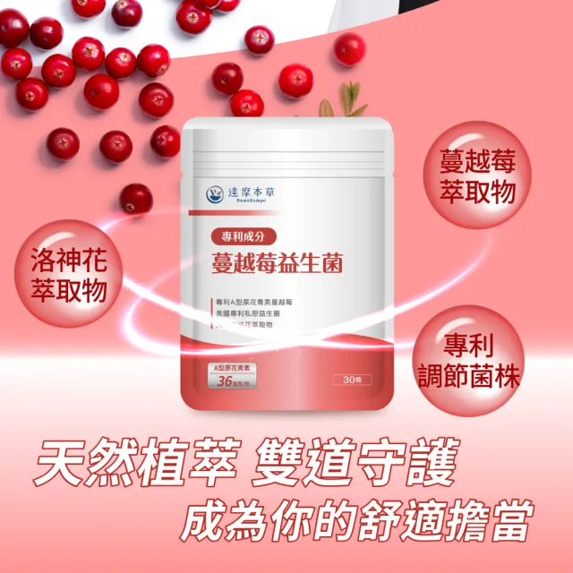 【達摩本草】蔓越莓益生菌 1入30顆/包(專科醫生推薦、足量原花青素)